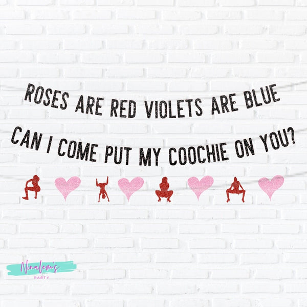 Valentine's Day Decorations, Roses are Red Violets Are Blue Can I Come Put My Coochie On You Banner, Sexy Valentine's Day Decor,