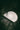 White Cowboy Hat (Rhinestone brim)