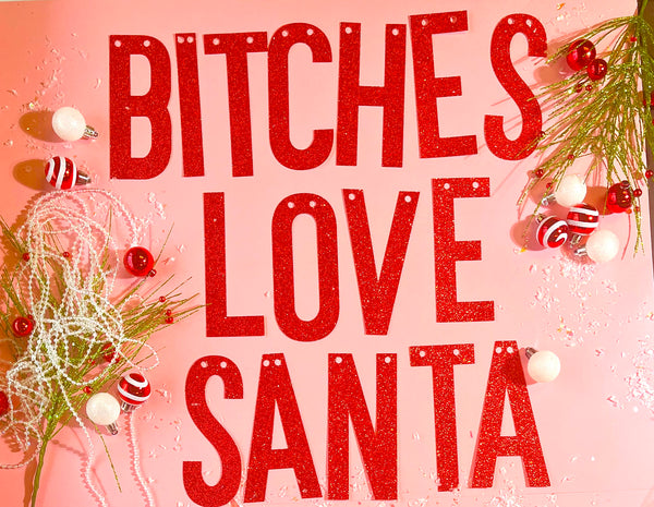Bitches Love Santa Banner