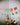 Friendsmas Decorations,It's The Hos For Me Banner, Funny Christmas Party Decorations, Funny Christmas Decorations, Funny Christmas Banner,