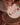 Christmas Party Favors, Drop It Like Its Hot Chocolate Edible Drink Toppers, Hot Chocolate Bar Decoration, Hot Cocoa Toppers,