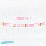 Bachelorette Party Decorations, Bachelorette Party Banner, I Thought a Single Bitch Said Something, Bachelorette Party Favors
