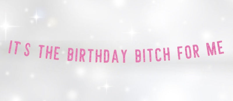 21st Birthday Decorations,  Birthday Bitch Banner, Birthday Banner, Birthday Party Decor, WAP Banner, Birthday Decor, 25th, 30th, 18th,