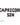 21st Birthday Decorations, Capricorn Szn Balloon Banner, Birthday Banner, Birthday Party Decorations, Birthday Decor, 25th, 30th,