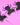 Halloween Bachelorette Party Spider Penis Banner, Bachelorette Party Spooky Penis Decor, Bachelorette Penis Decorations for Halloween