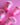21st Birthday Decorations, Birthday Decorations, Twerk Party, Birthday Shot glasses, 25th, 30th, 35th, 45th, Bachelorette Favors, Bach Party